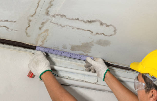 Affordable Water Damage Repair solutions in Lookout, WV